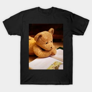 Bedtime Story T-Shirt